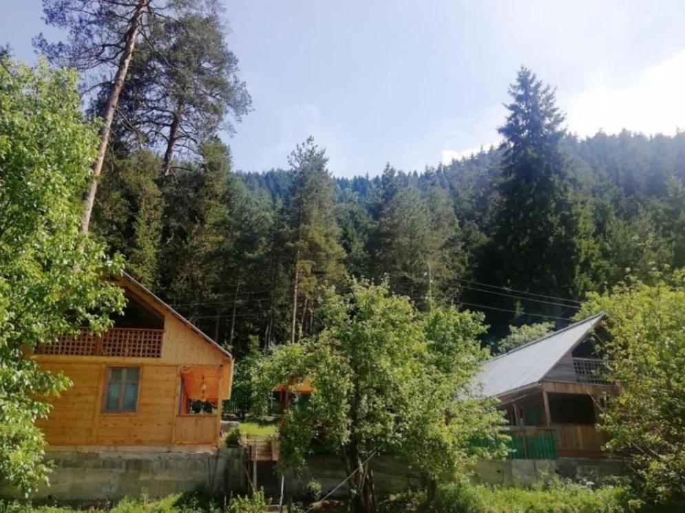 Guest House Ilia Borjomi Eksteriør bilde