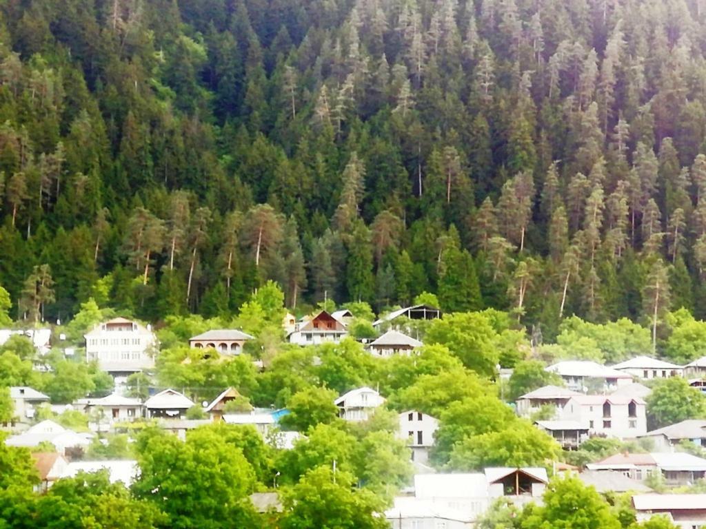 Guest House Ilia Borjomi Eksteriør bilde