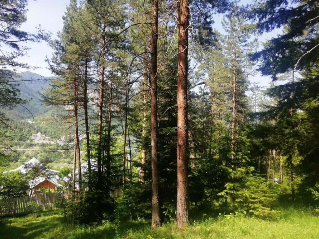 Guest House Ilia Borjomi Eksteriør bilde