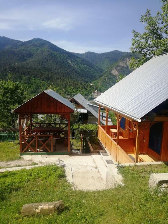 Guest House Ilia Borjomi Eksteriør bilde