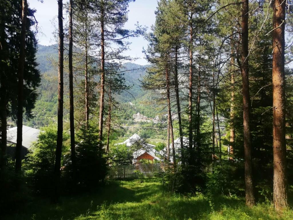 Guest House Ilia Borjomi Eksteriør bilde
