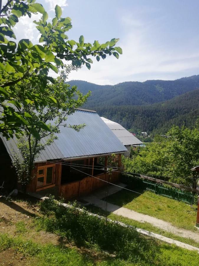 Guest House Ilia Borjomi Eksteriør bilde