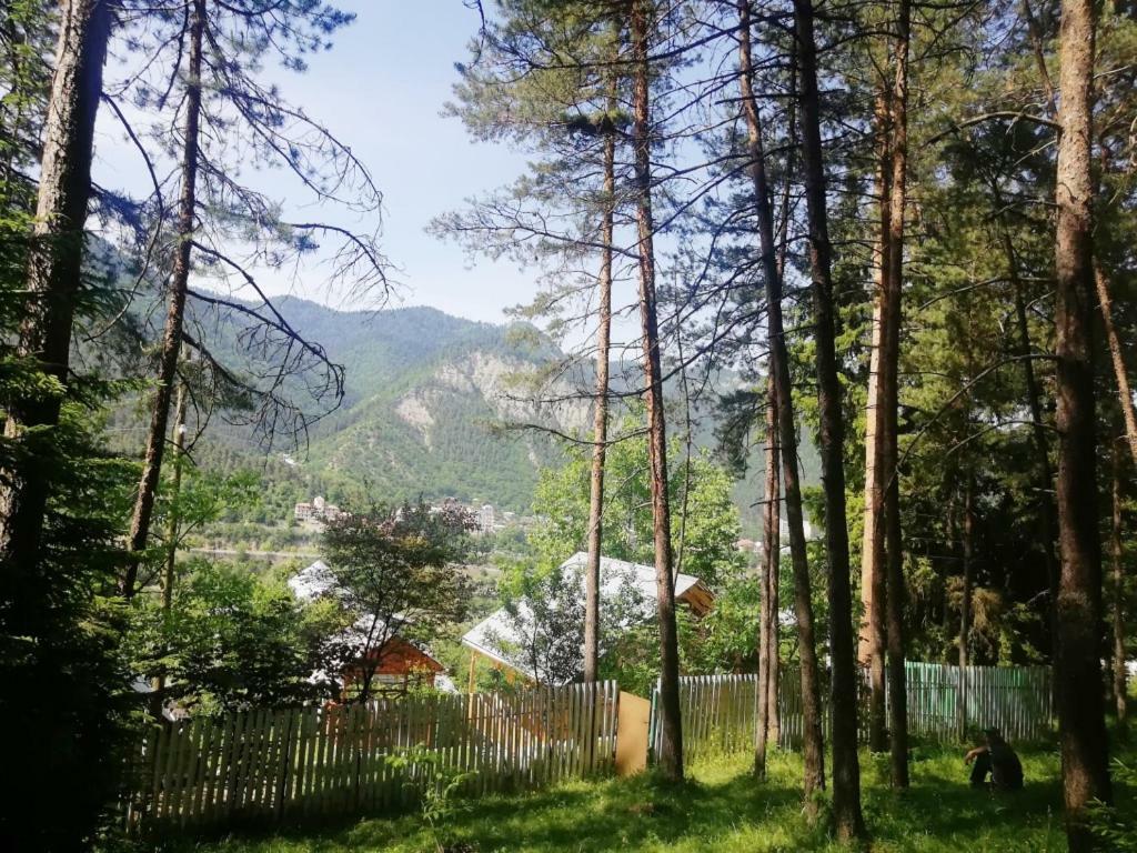 Guest House Ilia Borjomi Eksteriør bilde