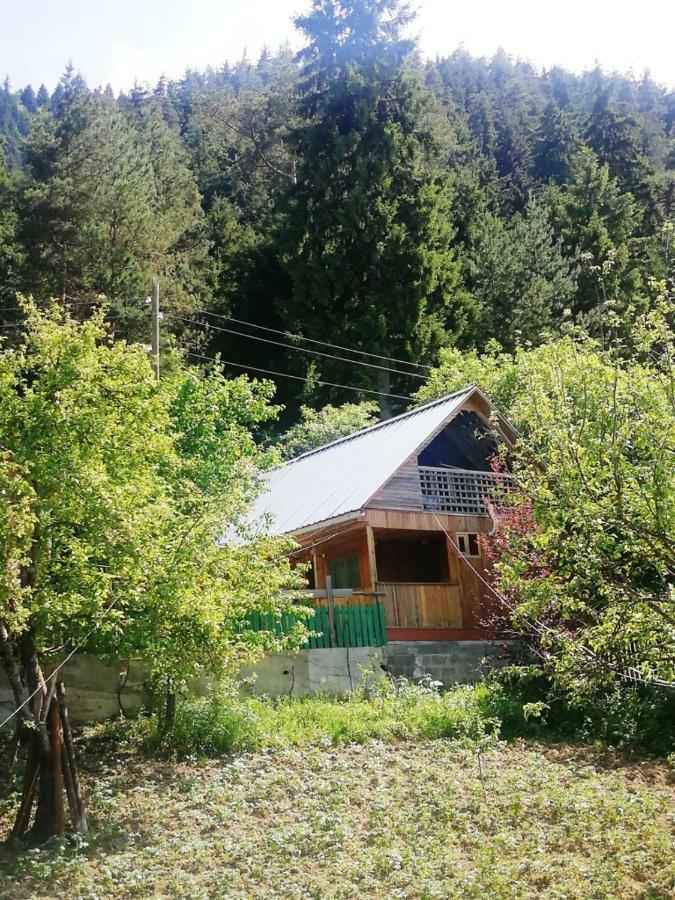 Guest House Ilia Borjomi Eksteriør bilde